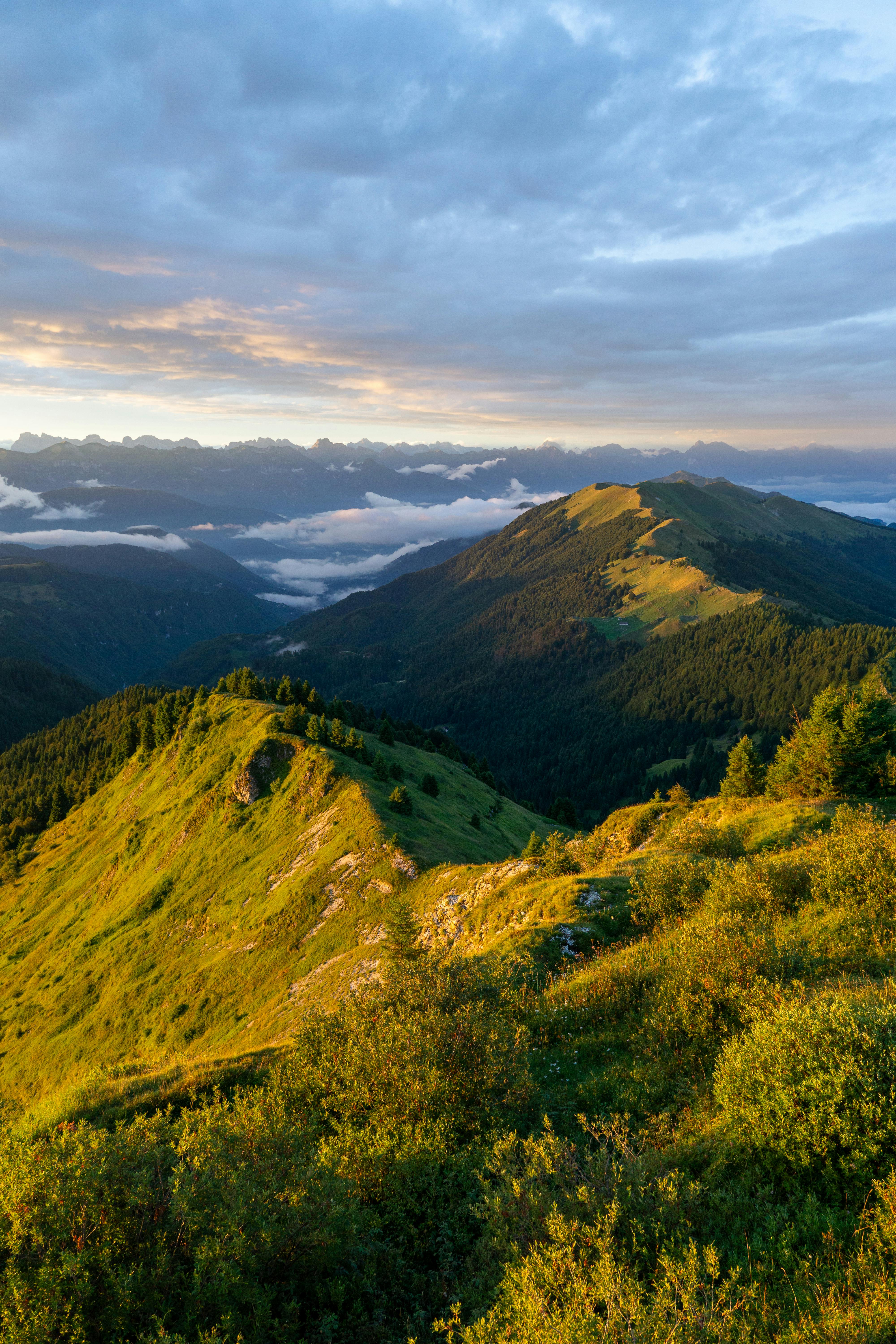 Hills Lite – 一个简单的 Emby 客户端[Windows]