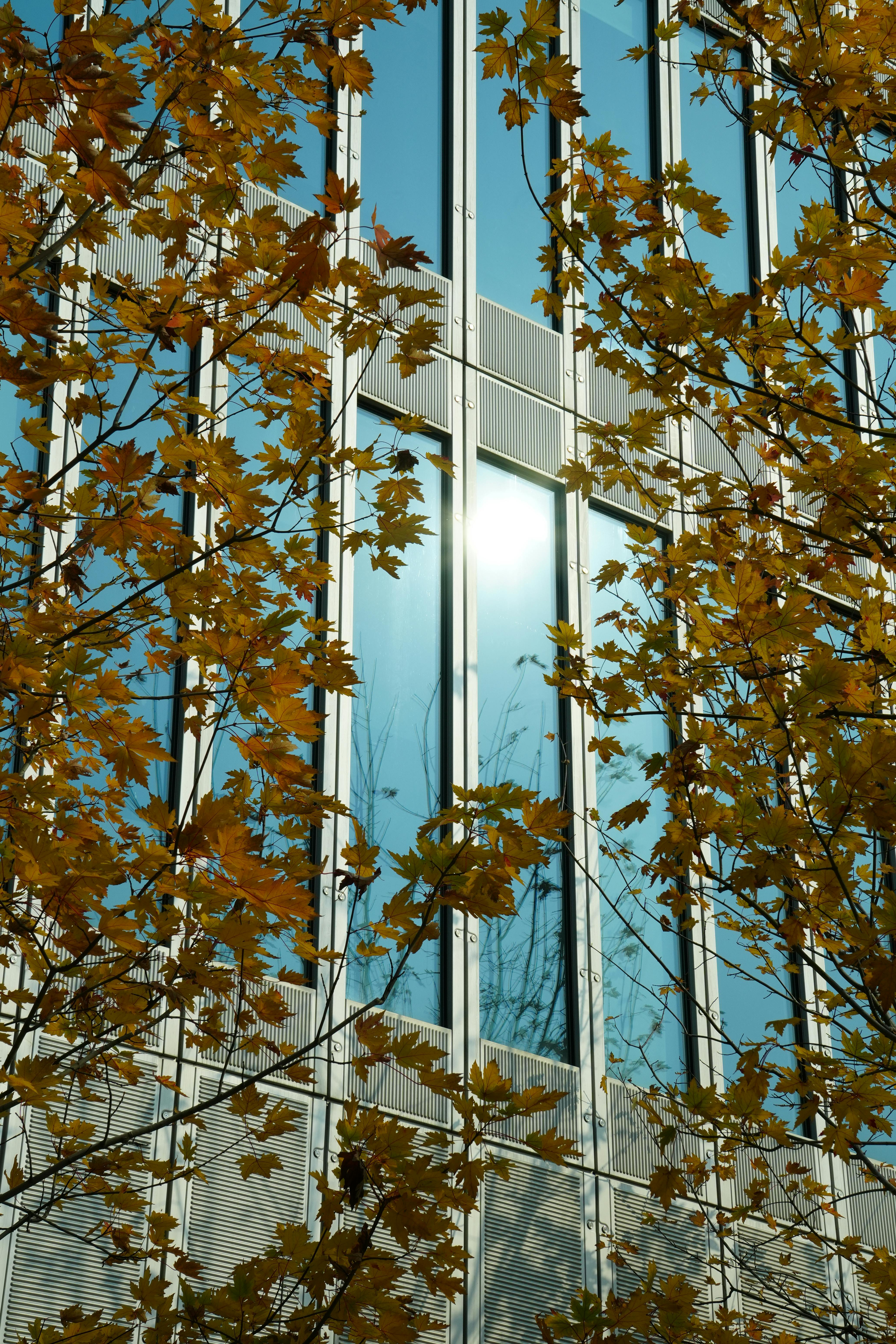 天气渐寒，如何做好健康防护？