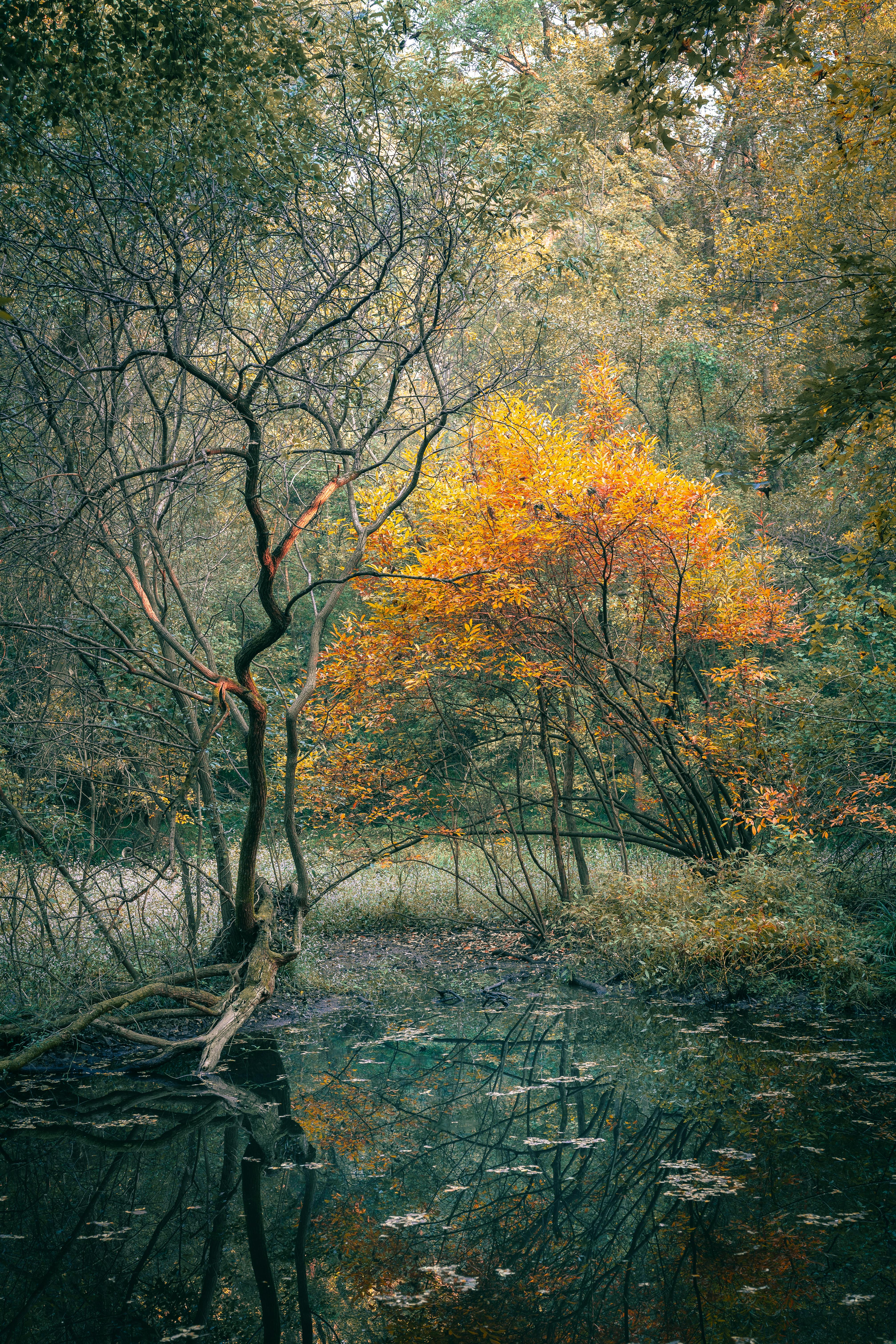 哈马斯称准备好讨论“冻结或储存”其武器